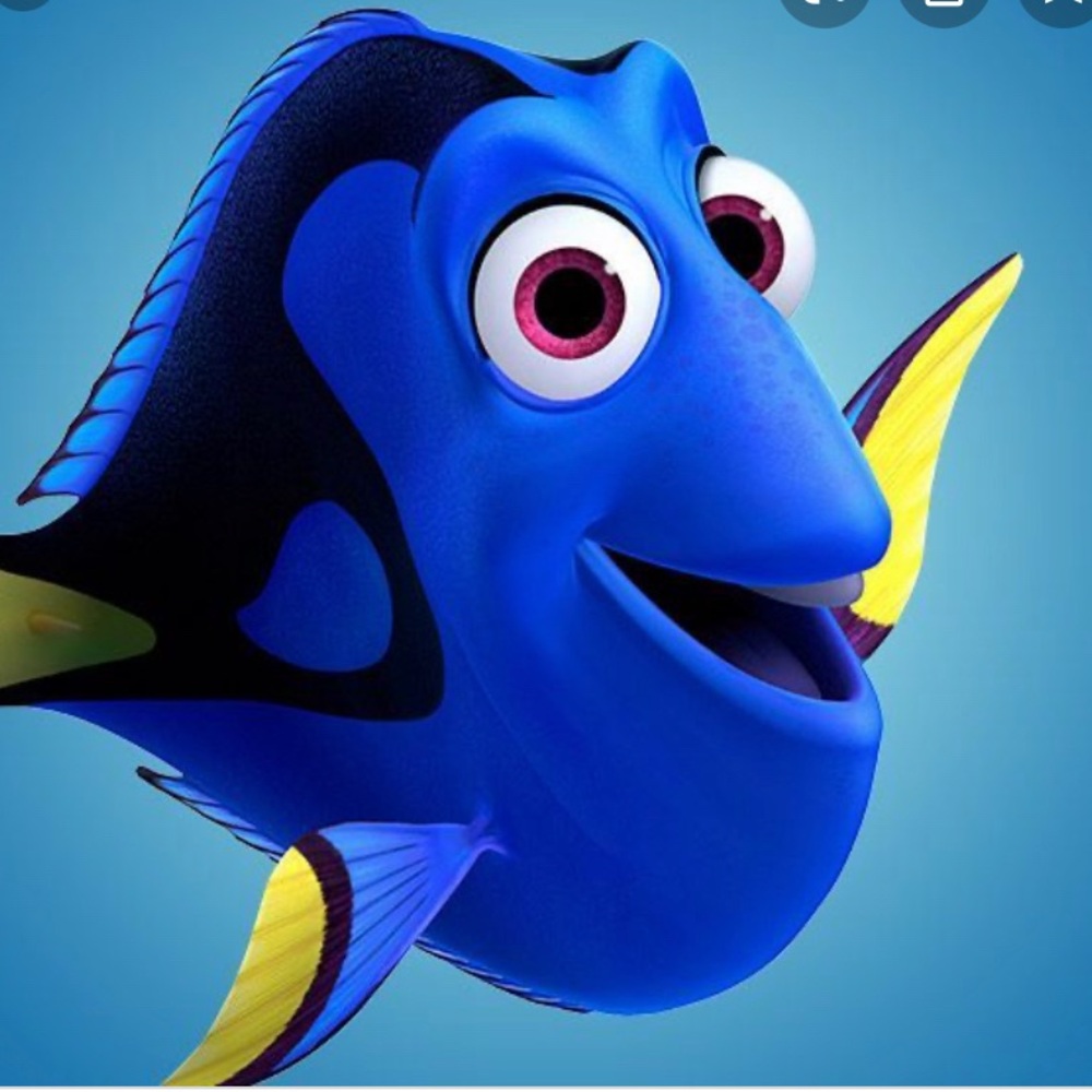 Meet your Posher, Dorie